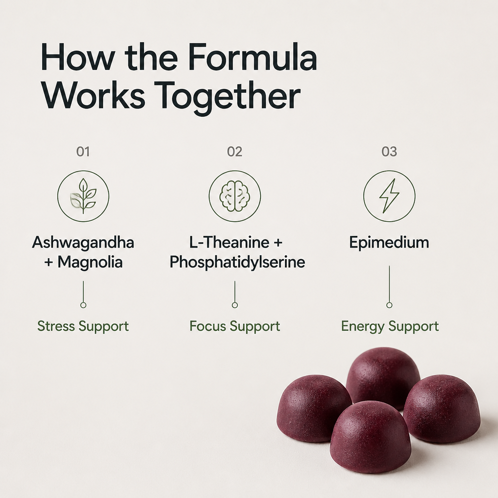 Youthvita Cortisol Balance Gummies with Phosphatidylserine, 60 Gummies