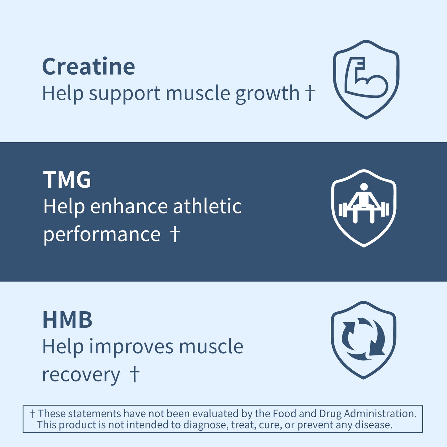 Micronized Creatine Monohydrate with HMB & TMG Support Muscle Growth, Athletic Performance, 180 Tablets